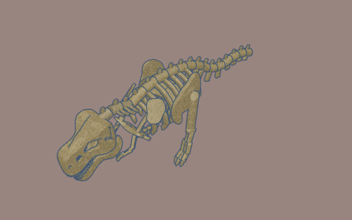 3D design Scribble Tyrannosauridae Skeleton (updated) - Tinkercad