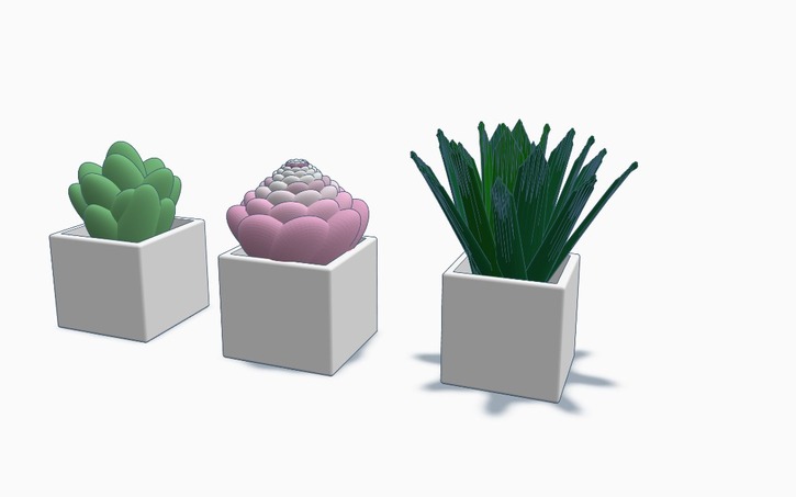 3D Design Succulents - Tinkercad