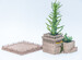 3D Design Mini Middle Eastern Villas Succulent Planter | Tinkercad